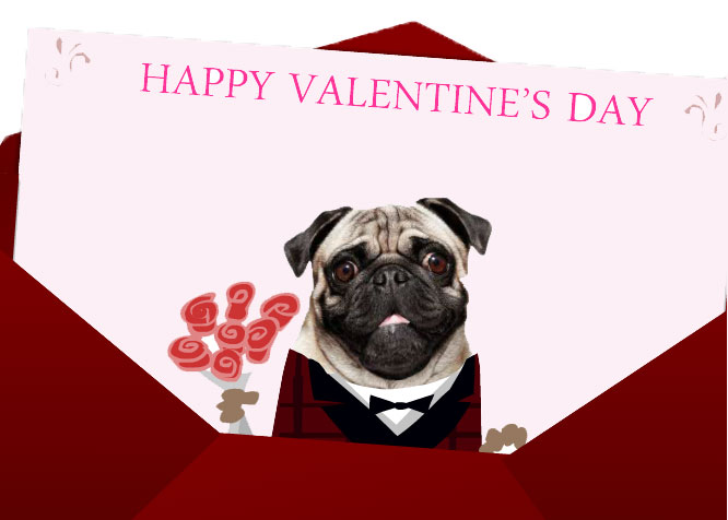 Pug-Valentine